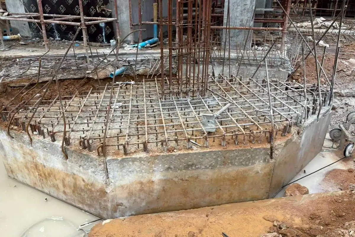 ผลงาน ตัดฐานราก01