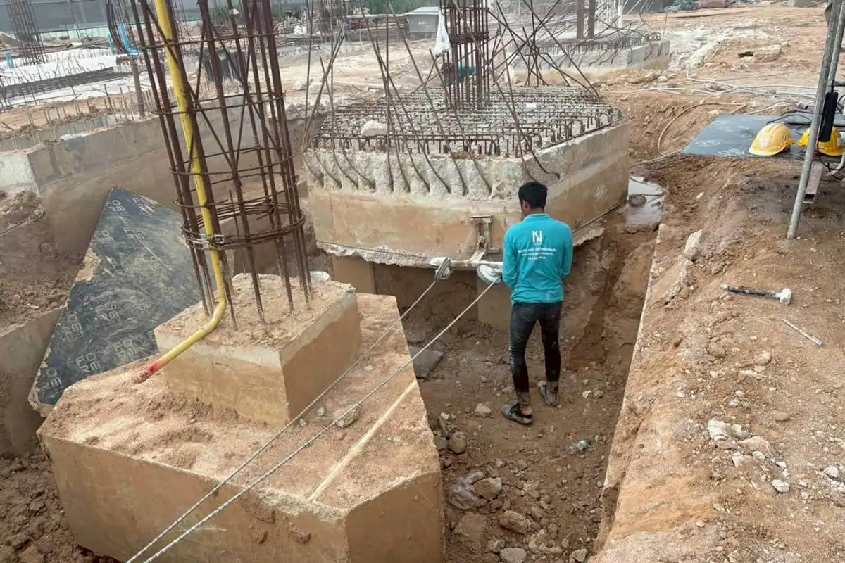 ผลงาน ตัดฐานราก08